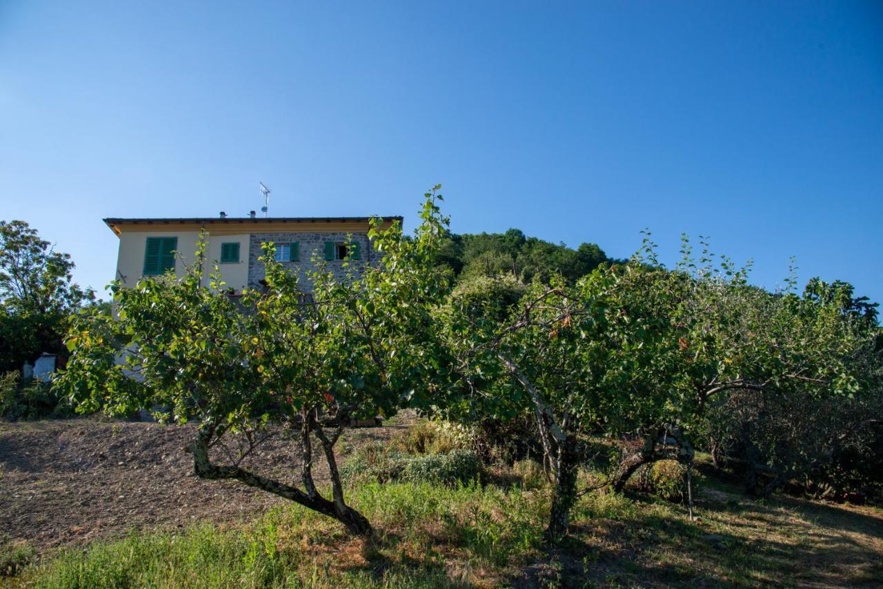 La Beppa - Casa Vacanza Pontremoli Dış mekan fotoğraf